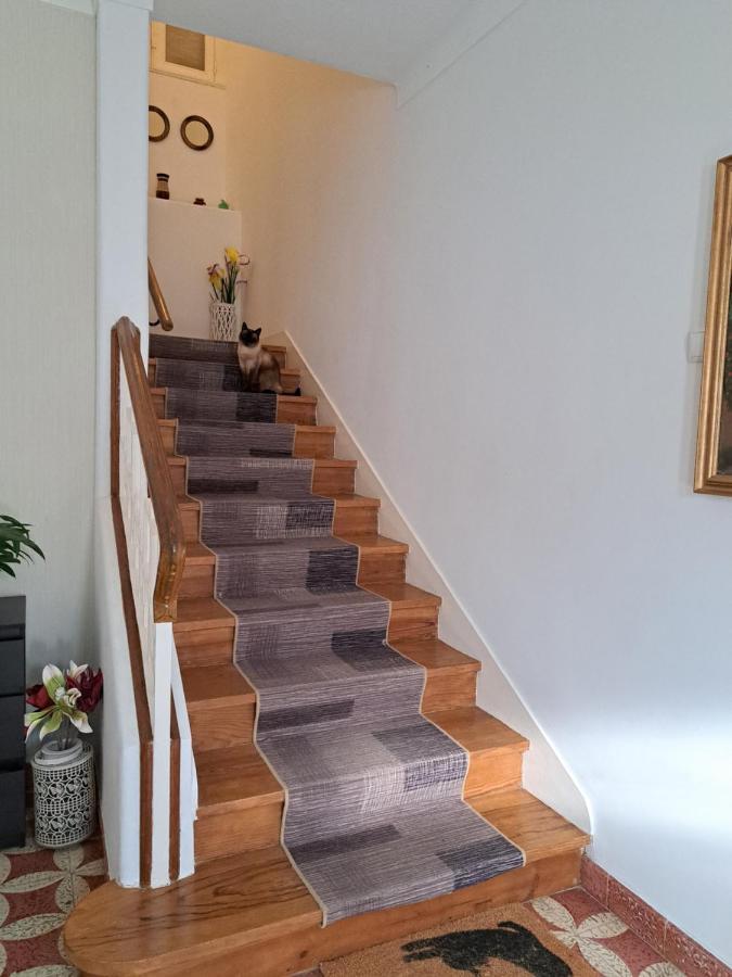 Beja Garden Apartamento Com Terraco Privado מראה חיצוני תמונה
